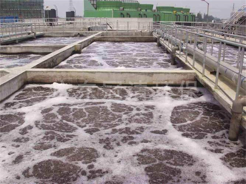 光伏廢水處理反硝化厭氧顆粒污泥工藝